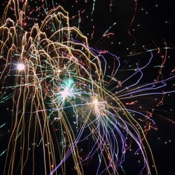 Firework Willow